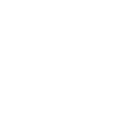 Dr. Kumar Foundation Logo